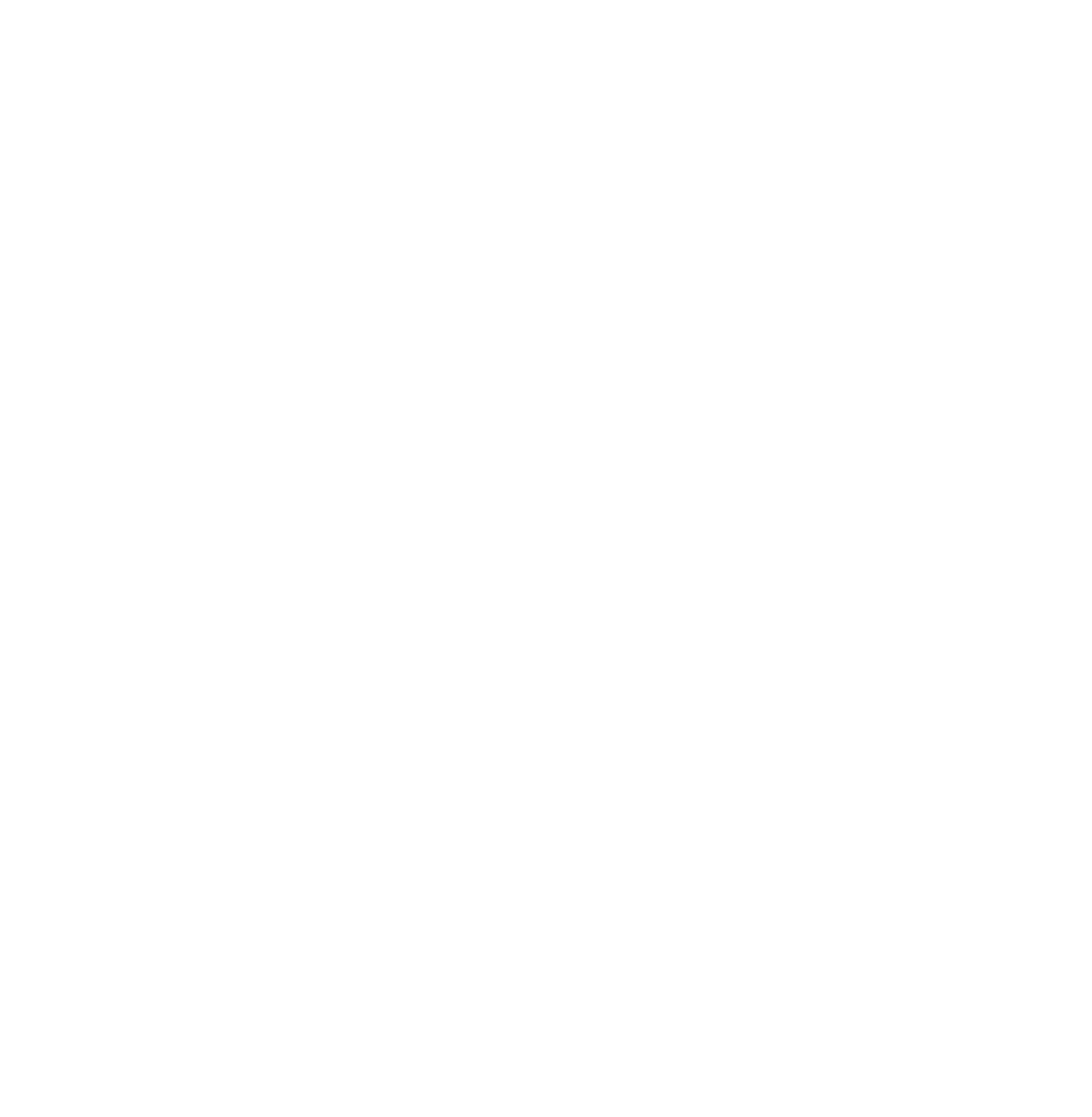 X glyph white.